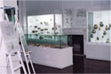 View of hall III with exhibits from the prehistoric settlement of Thermes