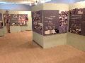 View of the exhibition