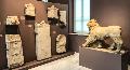 Archaeological Museum of Pirgos. Exhibits of historical times