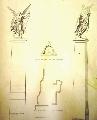 Represantation of the pedestal with the statue of Nike, a work of the sculptor Paeonios