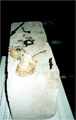 View of the offering table
