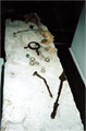View of the offering table