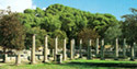 View of Palaestra